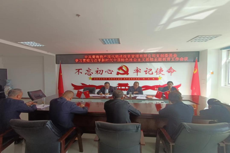 现代物流公司党支部召开进建贯彻习近平新时期中国特色社会主义思想主题教育工作会议