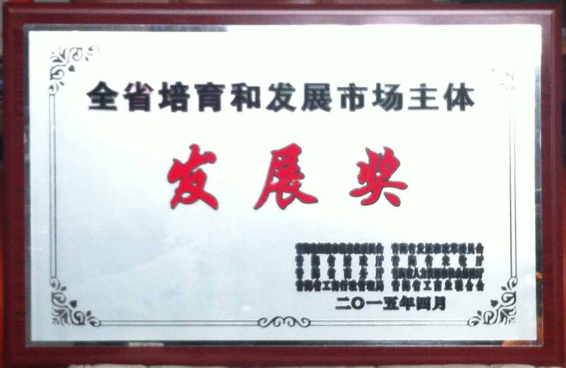 全省造就发展市场主体发展奖