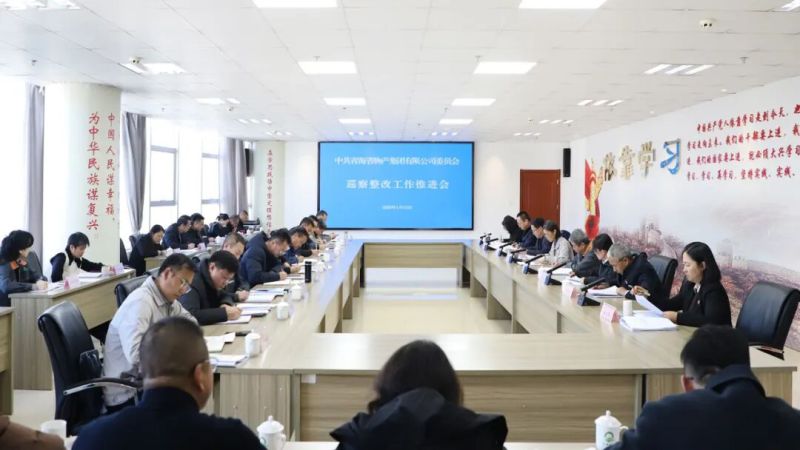 集团党委召开巡察整改工作推动会