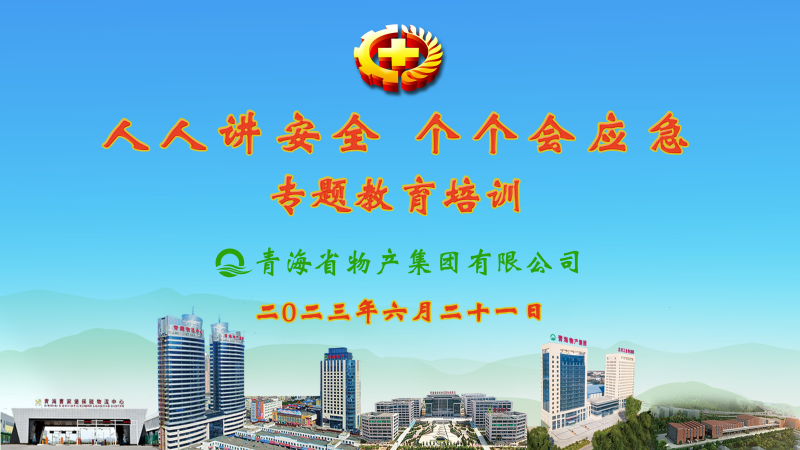 提高安全治理水平 落实全员安全责任&mdash;&mdash;集团安委会进行2023年&ldquo;人人讲安全，个个会应急&rdquo;专题教育培训