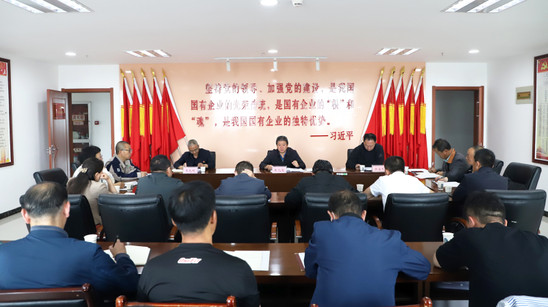 集团安委会召开集团2023年6月份安全出产例会