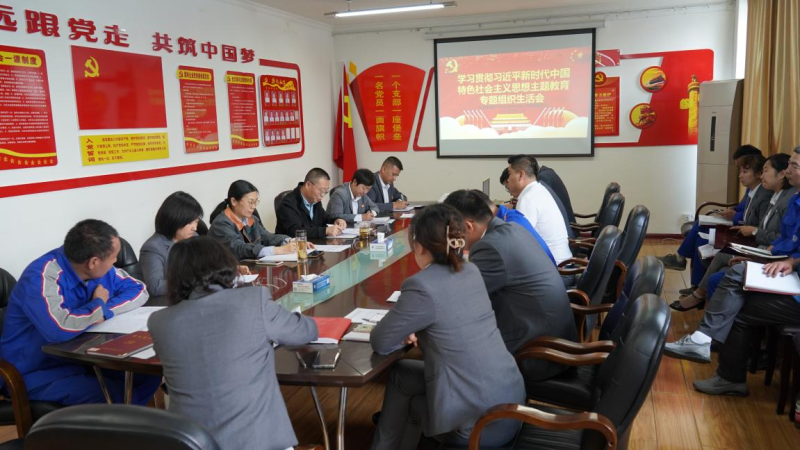 QMH官网汽贸公司党支部召开进建贯彻习近平新时期 中国特色社会主义思想主题教育专题组织生涯会