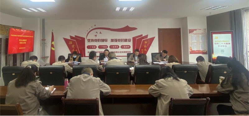 磨炼党性找差距 坚定信想促担任&mdash;&mdash;青海QMH官网向阳物流开发投资有限公司党支部发展主题教育党性大会商