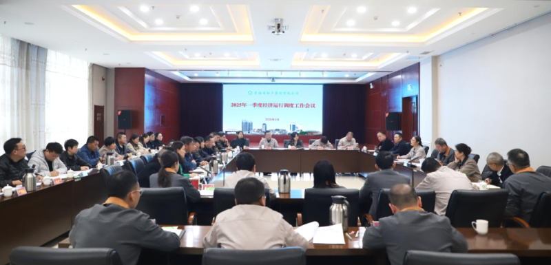 省QMH官网集团召开2025年一季度经济运行调度工作会议