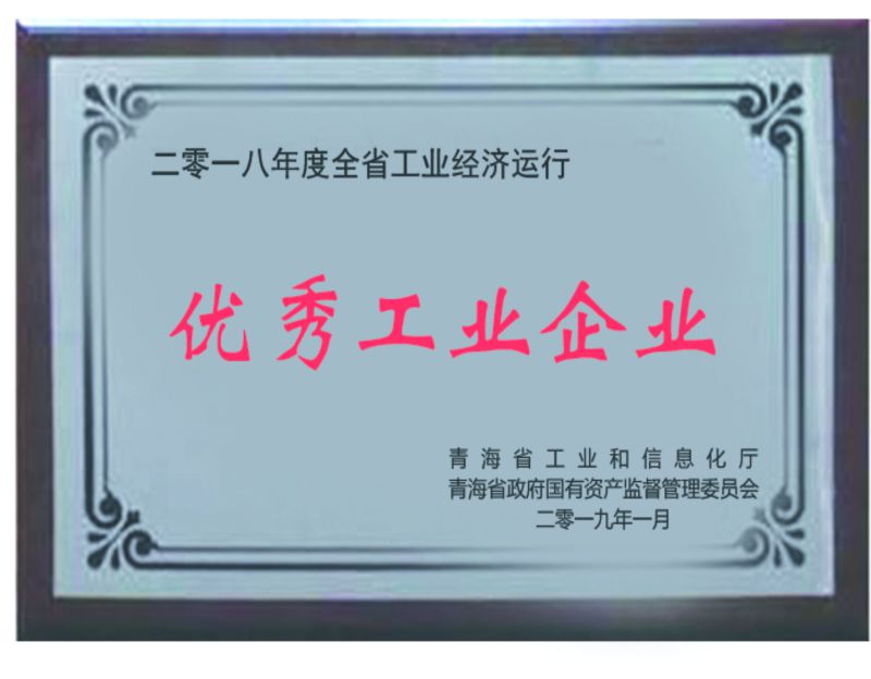 2018年杜着秀工业企业