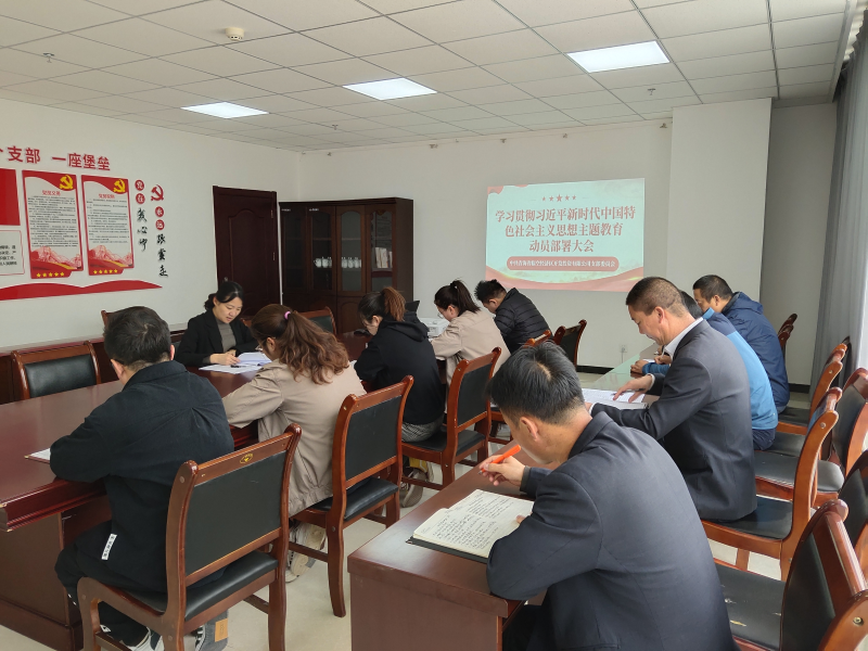 中共青海省临空经济区开发投资有限公司支部委员会召开进建贯彻习近平新时期中国特色社会主义思想 主题教育带头部署会议