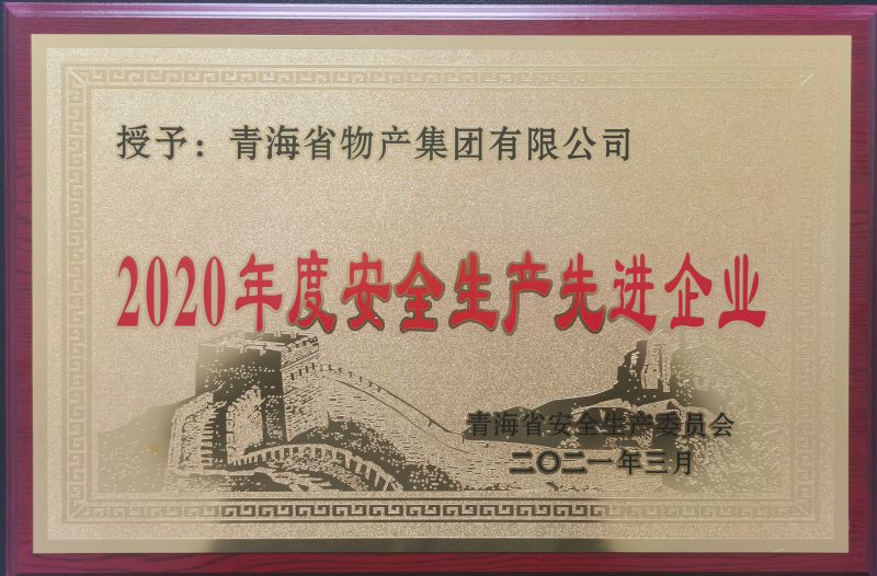 2020年度安全出产先进企业
