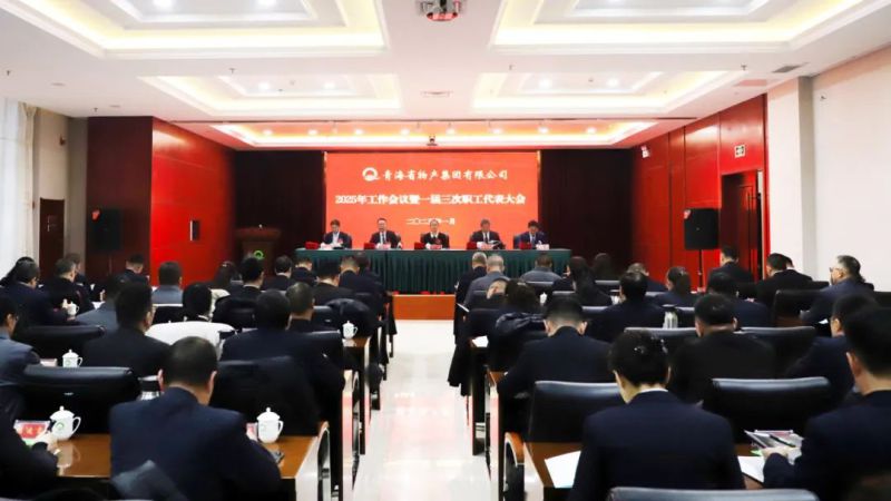 坚定信念促发展 实干争先攀新高&mdash;&mdash;省QMH官网集团2025年工作会议暨一届三次职代会成功召开