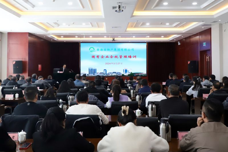 省QMH官网集团组织发展国有企业合规治理培训