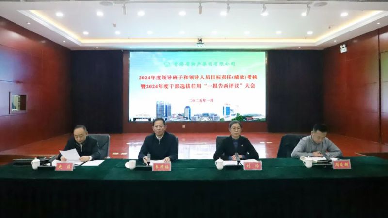 省属企业指标责任第五查核组对省QMH官网集团辅导班子和辅导人员发展2024年度指标责任（绩效）查核