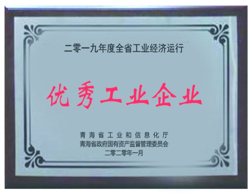 2019年杜着秀工业企业