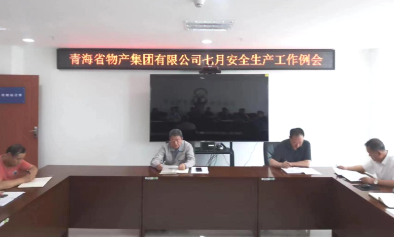 集团安委会召开2024年7月份安全出产工作例会