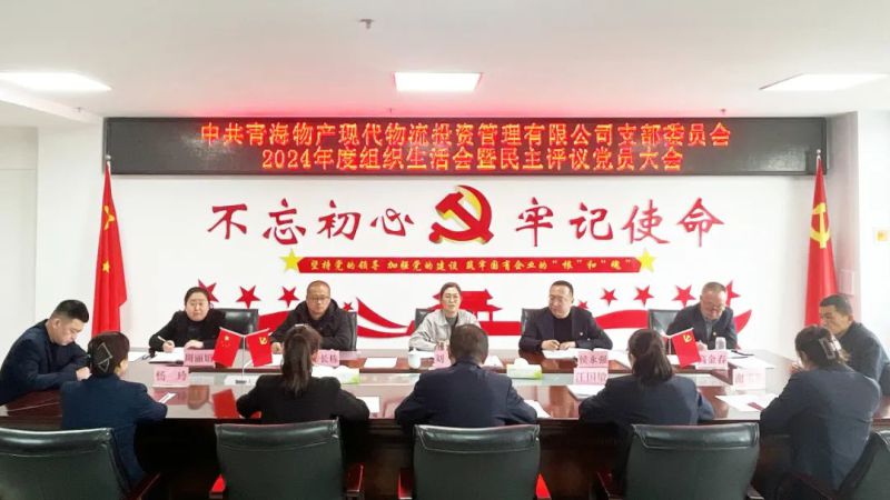 现代物流公司党支部召开2024年度组织生涯会暨民主评议党员大会