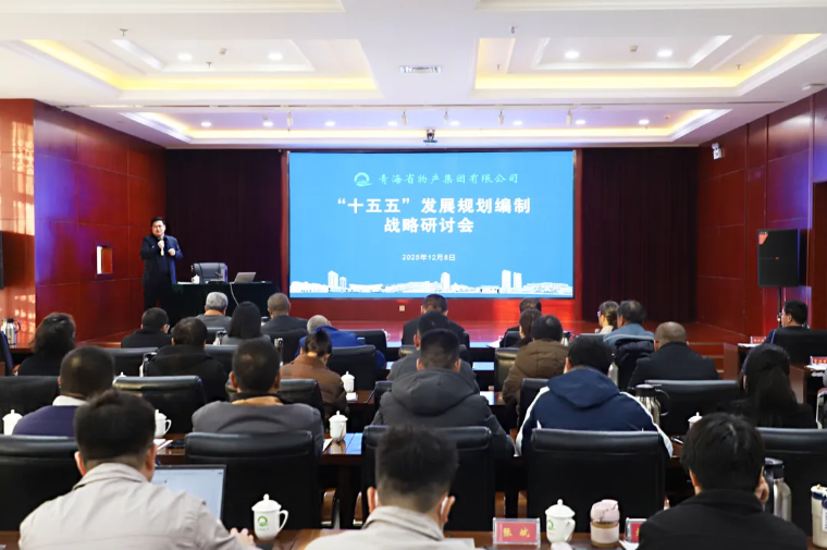 聚势谋远 破局立新&mdash;&mdash;集团召开&ldquo;十五五&rdquo;发展规划假造战术钻研会