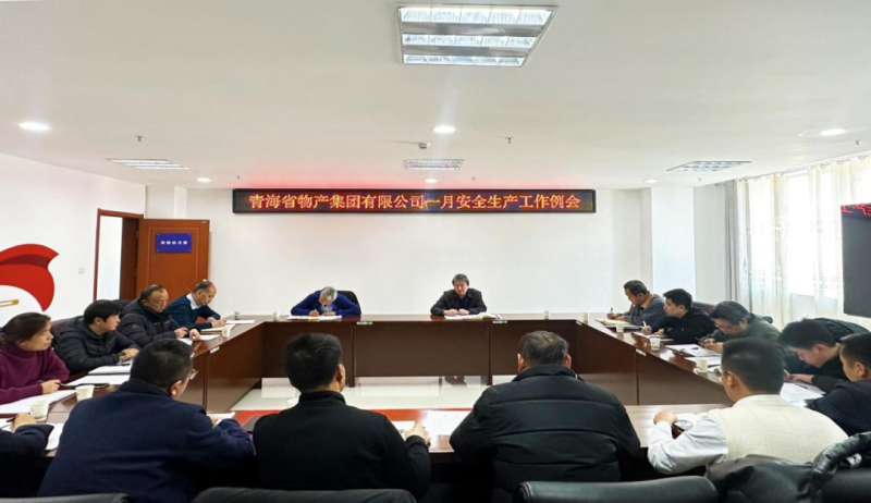 集团安委会召开2024年1月份安全出产工作例会