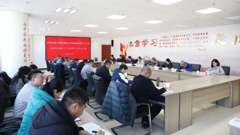 集团党委理论进建中心组召开2025年第十二次进建（扩大）会