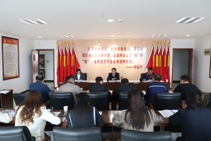 以更严的风格更实的行动 &nbsp;&nbsp;推动集团纪检工作高质量发展  &mdash;&mdash;省QMH官网集团纪委召开2023年第2次委员进建（扩大）会