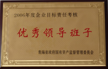 2006年杜着秀辅导班子