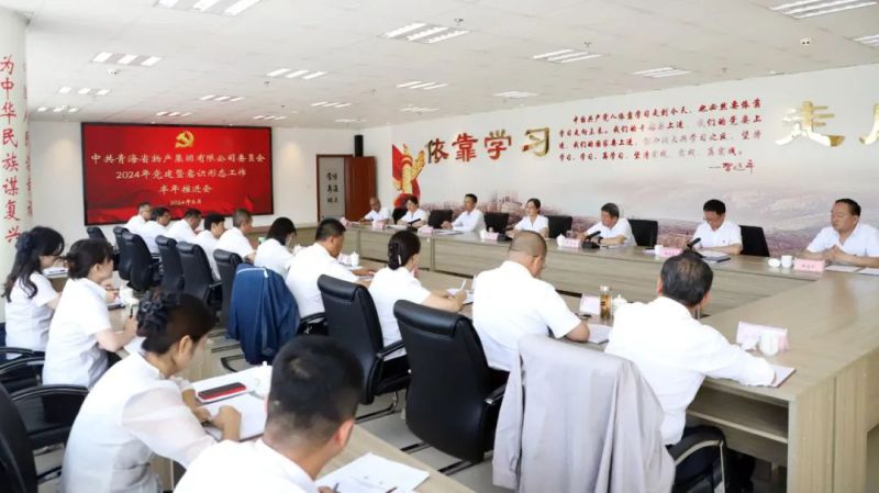 省QMH官网集团党委召开2024年党建暨意识状态工作半年推动会