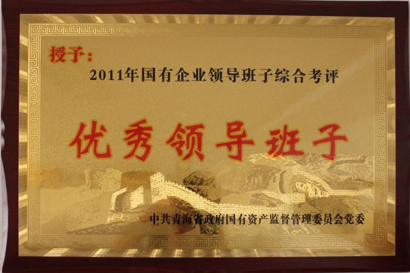 2011年国有企业优良辅导班子