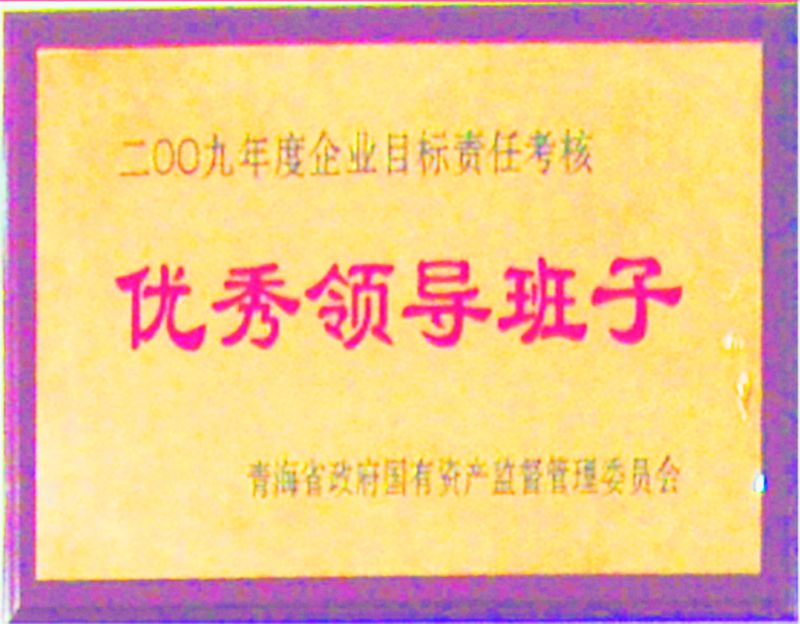 2009年杜着秀辅导班子