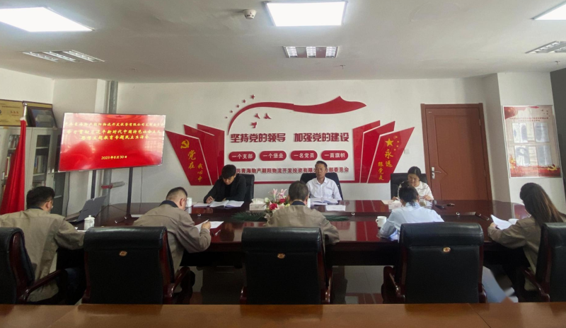 朝物开投公司党支部召开进建贯彻习近平新时期中国特色社会主义思想主题教育专题民主生涯会