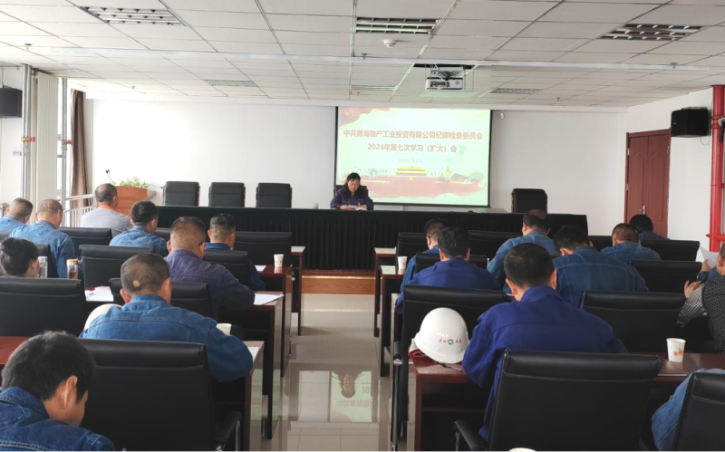 工投公司纪委召开2024年度第七次进建（扩大）会