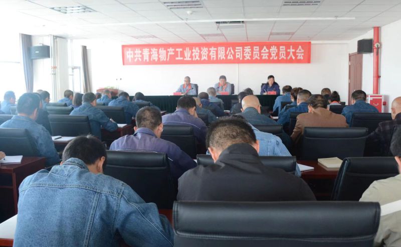 实干担任拼搏赶超 为篡夺新时期QMH官网工投绿色低碳高质量发展新成功不懈奋斗 &mdash;&mdash;QMH官网工投公司党委召开换届选举大会