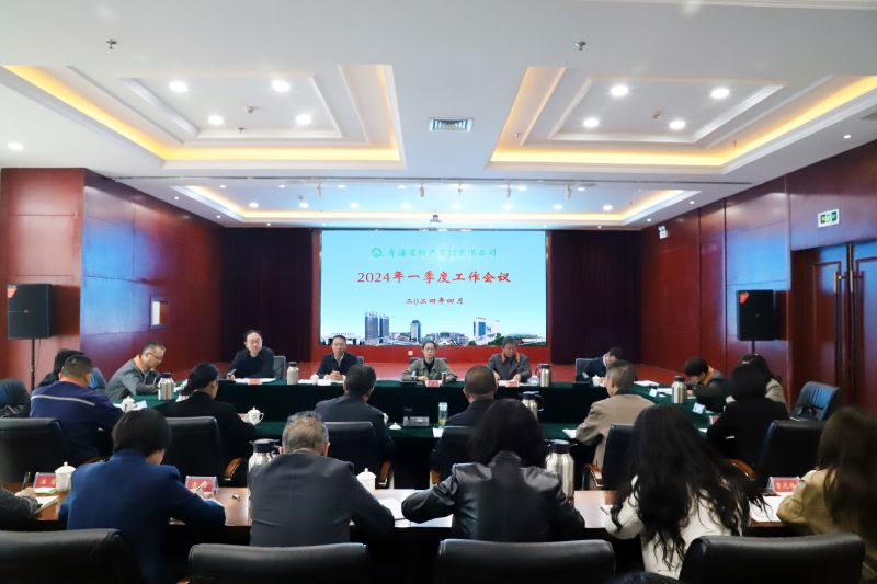 省QMH官网集团召开2024年一季度工作会议