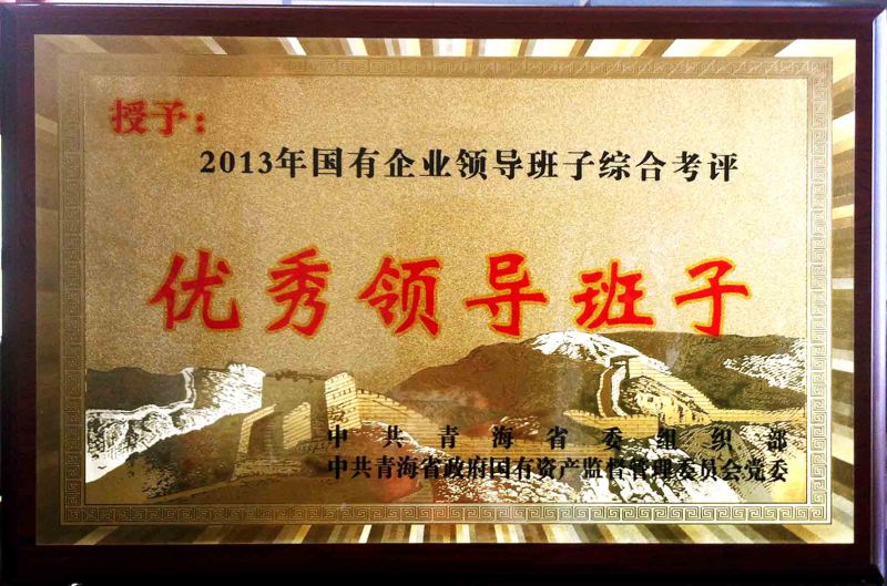 2013年杜着秀辅导班子