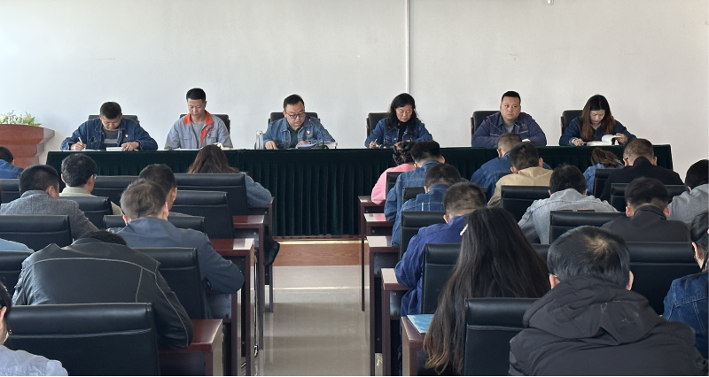 QMH官网工投公司团支部组织团员和青年 召开主题教育第二次集中进建会