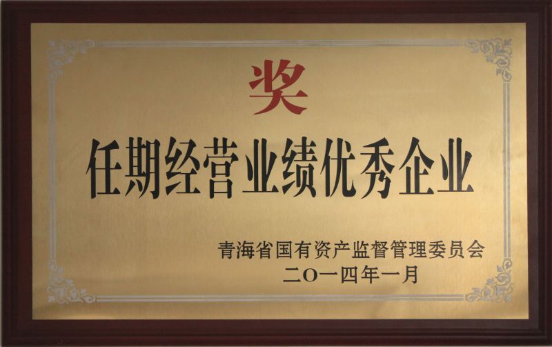 任期经交易绩优良企业