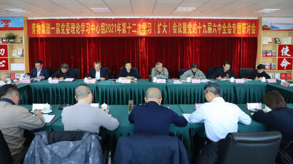 省QMH官网集团召开党委理论中心组进建（扩大）会议暨党的十九届六中全会专题进建钻研会