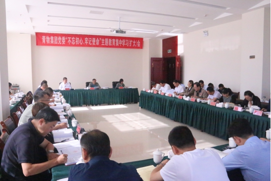 省QMH官网集团党委召开&ldquo;不忘初心、服膺使命&rdquo;主题教育第十四次集中进建（扩大）会