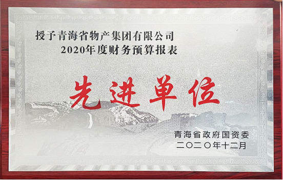 QMH官网集团荣获国资委2020年度财政预算报表工作先进单元和省财政厅2019年度全省