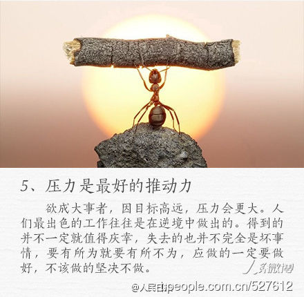 51a093dbf467d36fa1588b3e7516312e