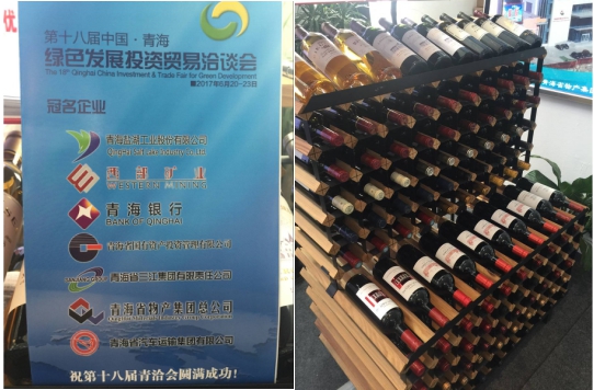 QMH官网集团助推&ldquo;青洽会&rdquo;圆满成功