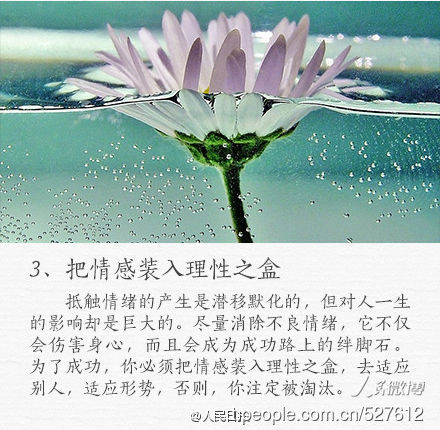 6e2cd2c66284fa5a2638a78310a629a3