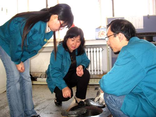 9c7e17d067bb31b0154db3b610c75145