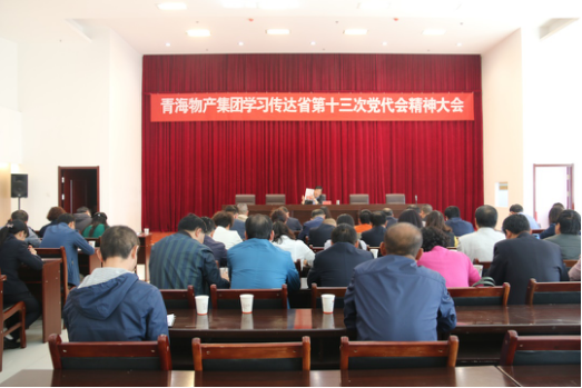 集团召开进建通报第十三次党代会心灵会议