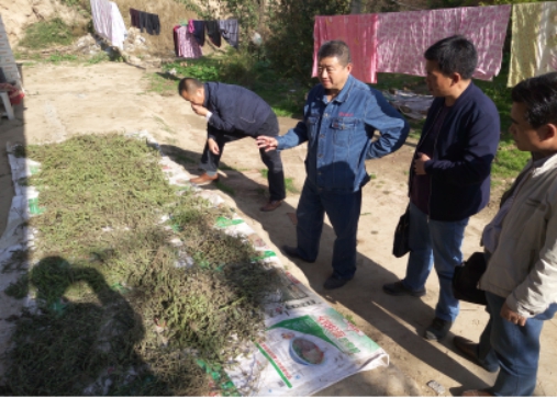 球盟会·qmh(中国)-官方网站