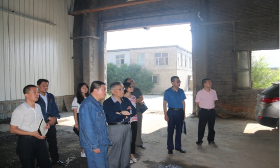 集团公司辅导一行光临青海QMH官网工业投资有限公司进行工作调研部署